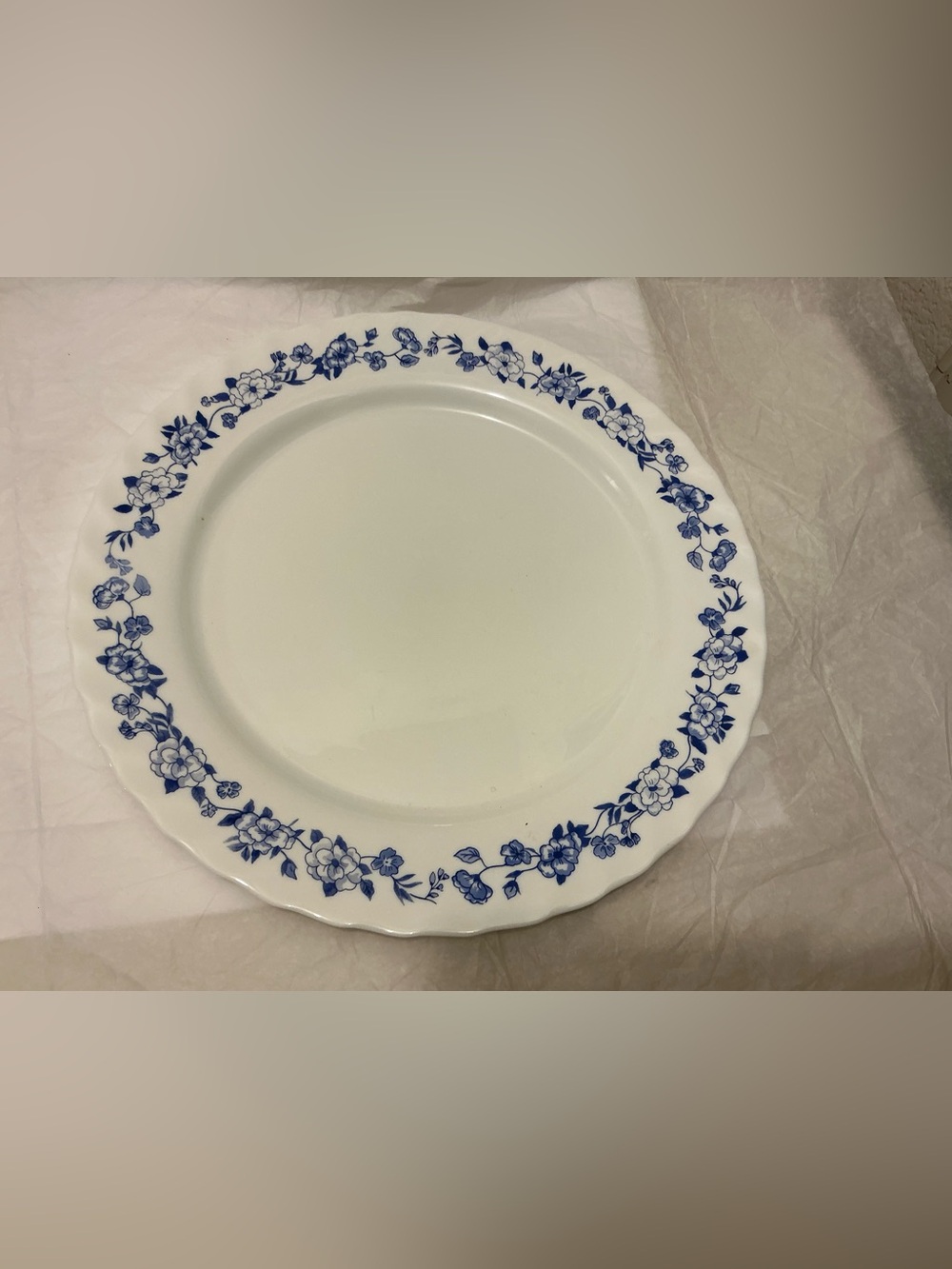 Arcopal France White Ceramic Dinner Plate with Blue Floral Border 12.5” Rare